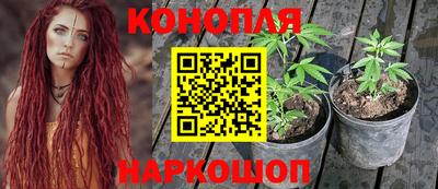 СК Славгород